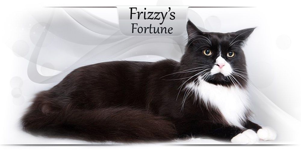 Frizzy's Fortune