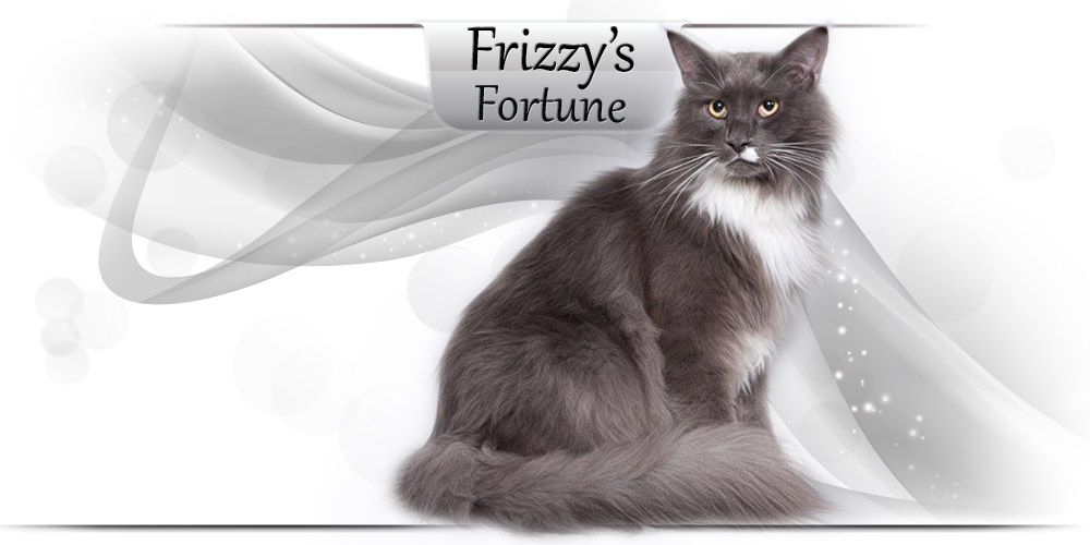 Frizzy's Fortune