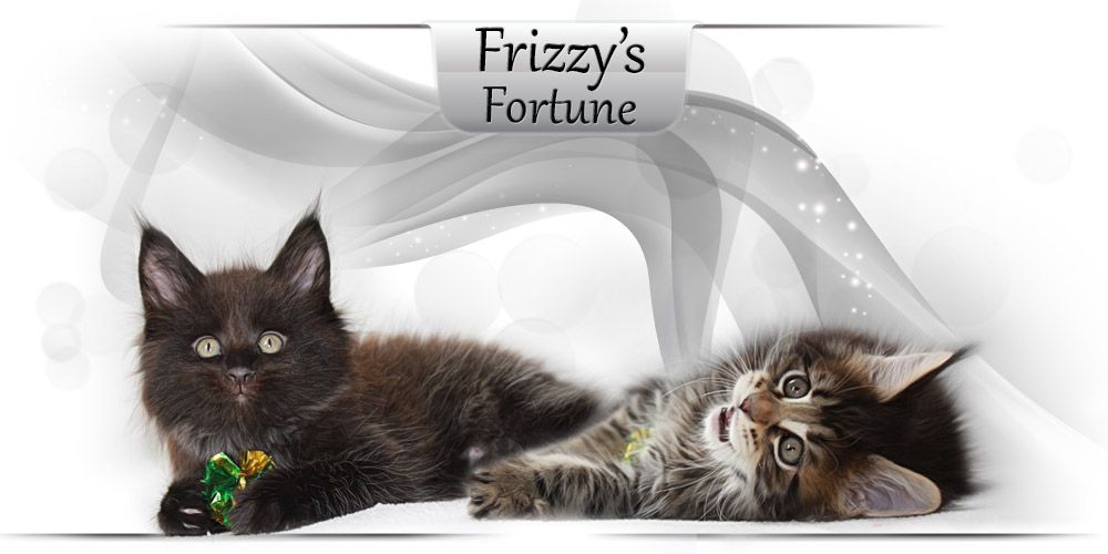 Frizzy's Fortune