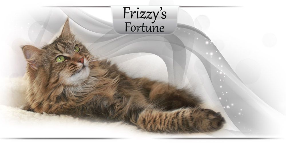 Frizzy's Fortune