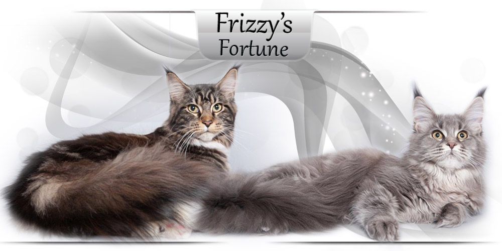 Frizzy's Fortune