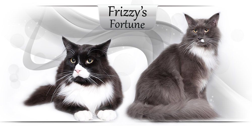 Frizzy's Fortune