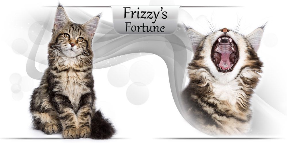 Frizzy's Fortune