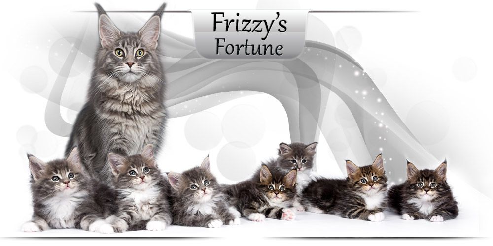 Frizzy's Fortune