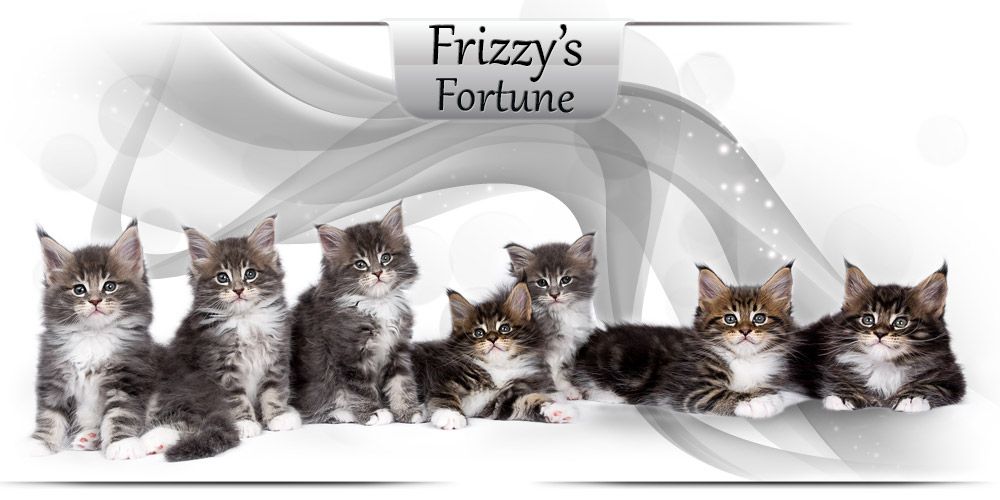 Frizzy's Fortune