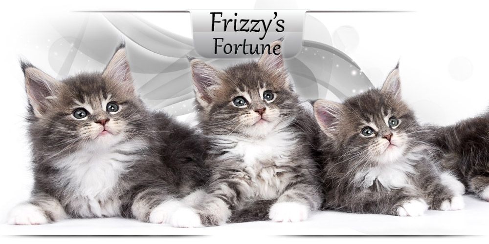 Frizzy's Fortune