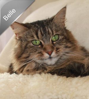 Belle